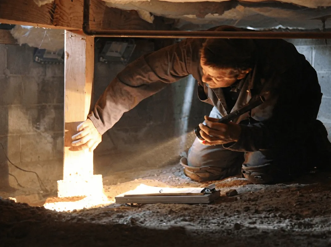 A professional inspecting wooden beams under the floor of a structure in Staten Island, NY